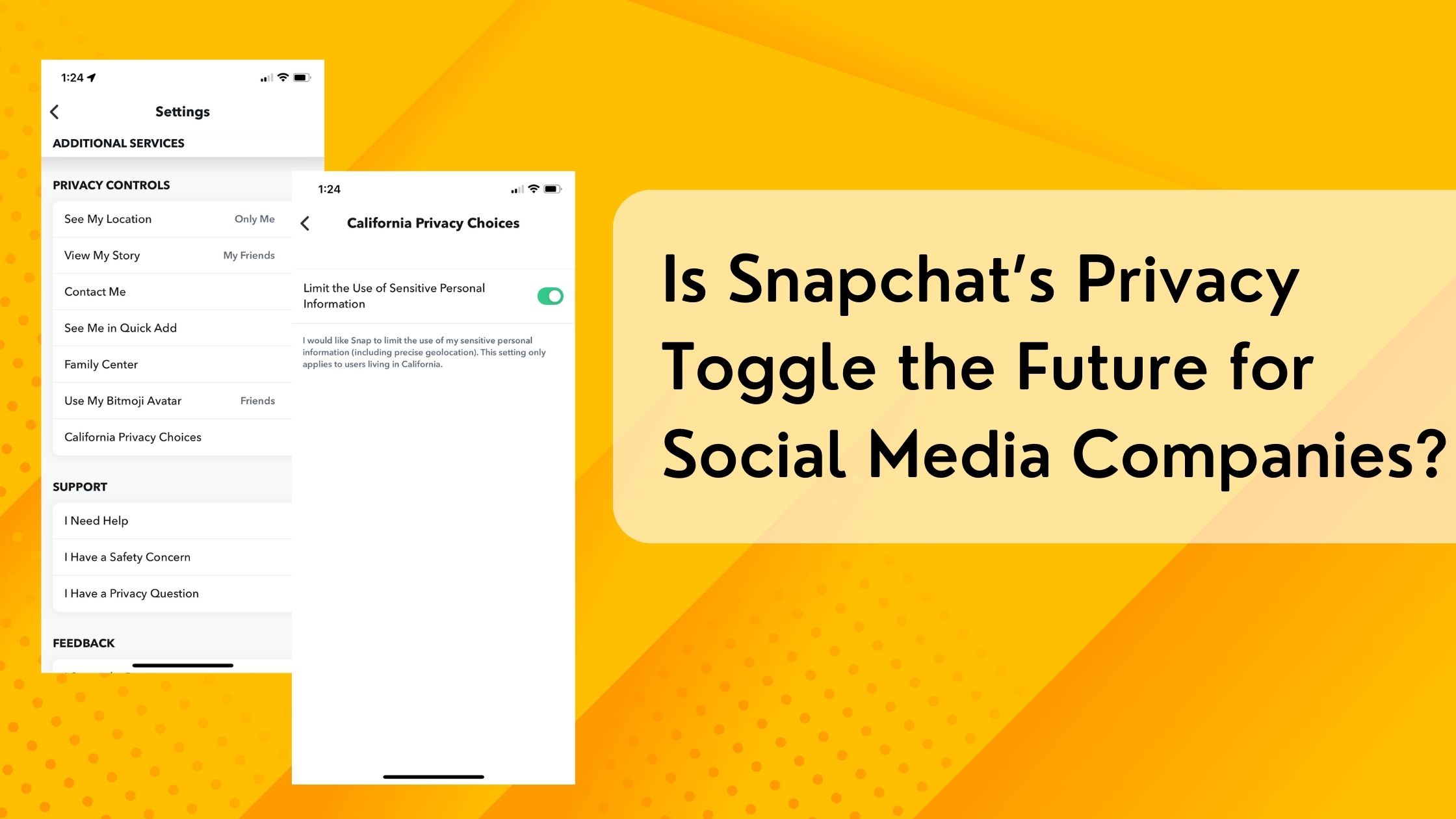 Is Snapchat’s Privacy Toggle the Future for Social Media Companies?