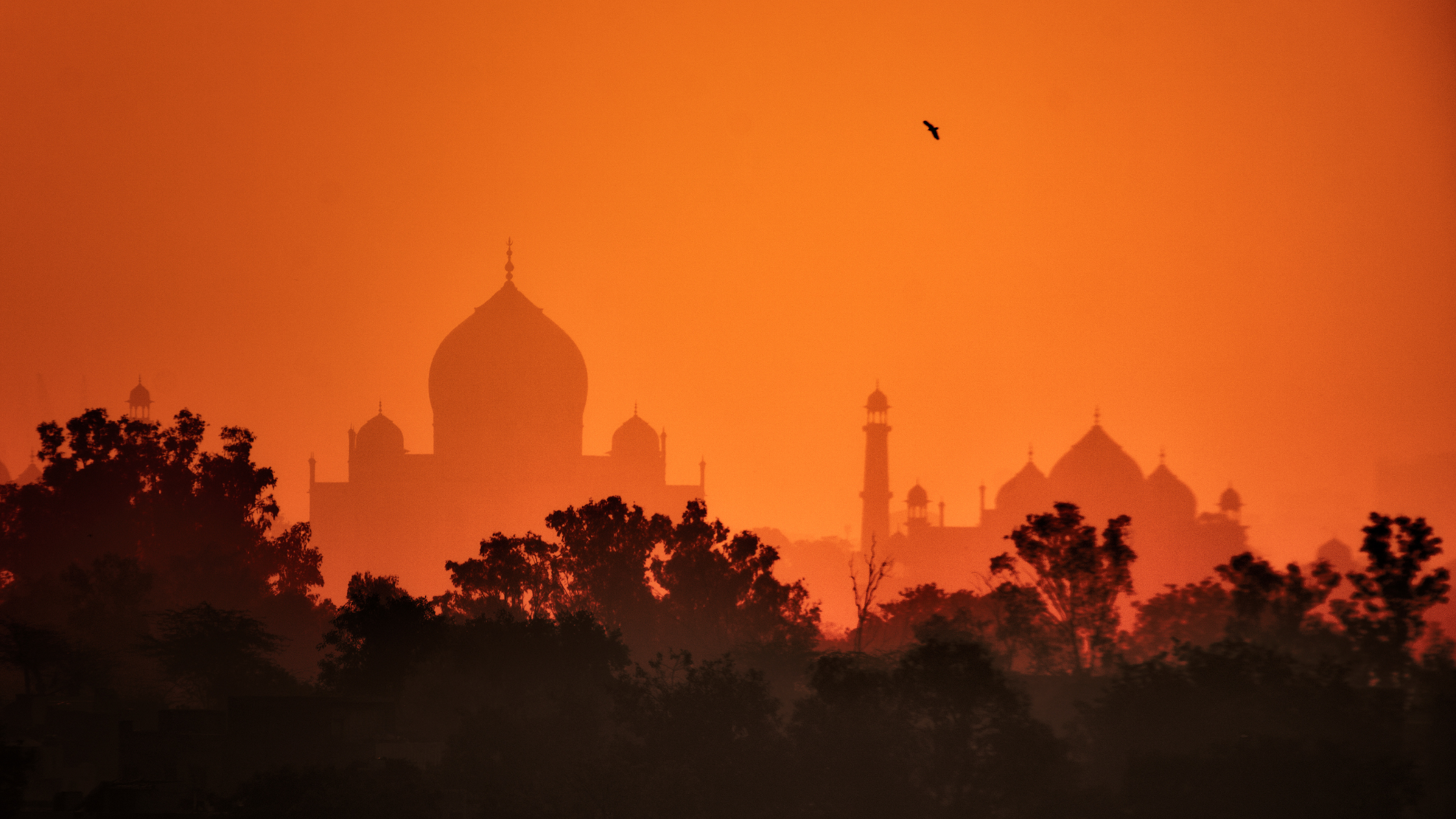 Could India’s 6-Month Implementation Timeline Come True?