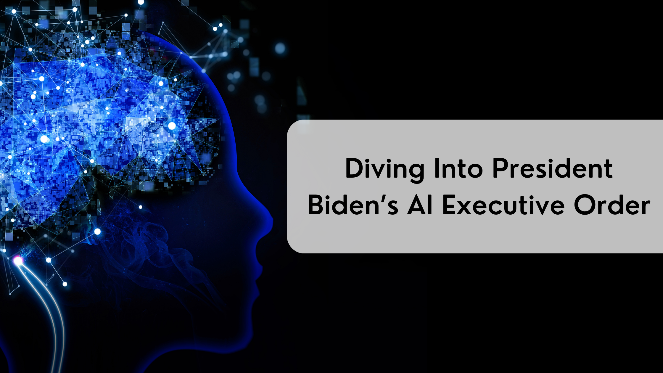 Diving Into President Biden's AI Executive Order