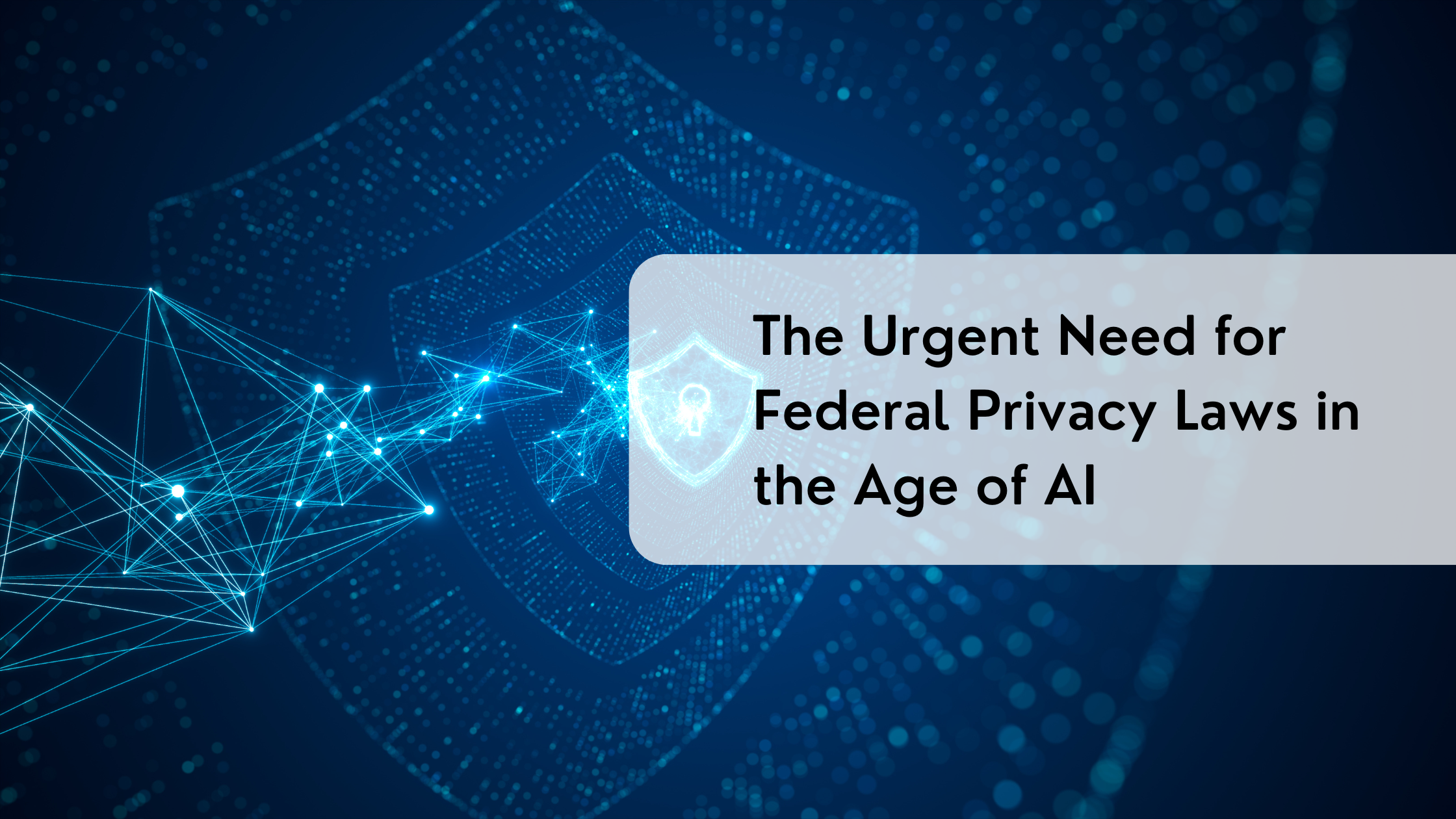 The Urgent Need for Federal Privacy Laws in the Age of AI