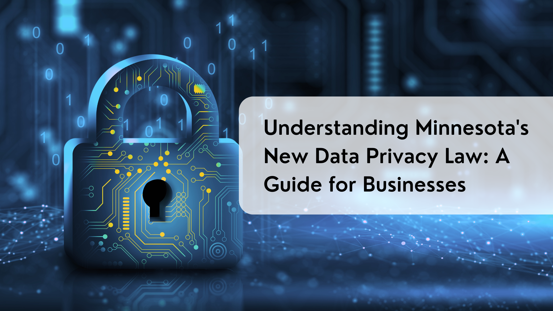 Understanding Minnesota's New Data Privacy Law: A Guide for Businesses