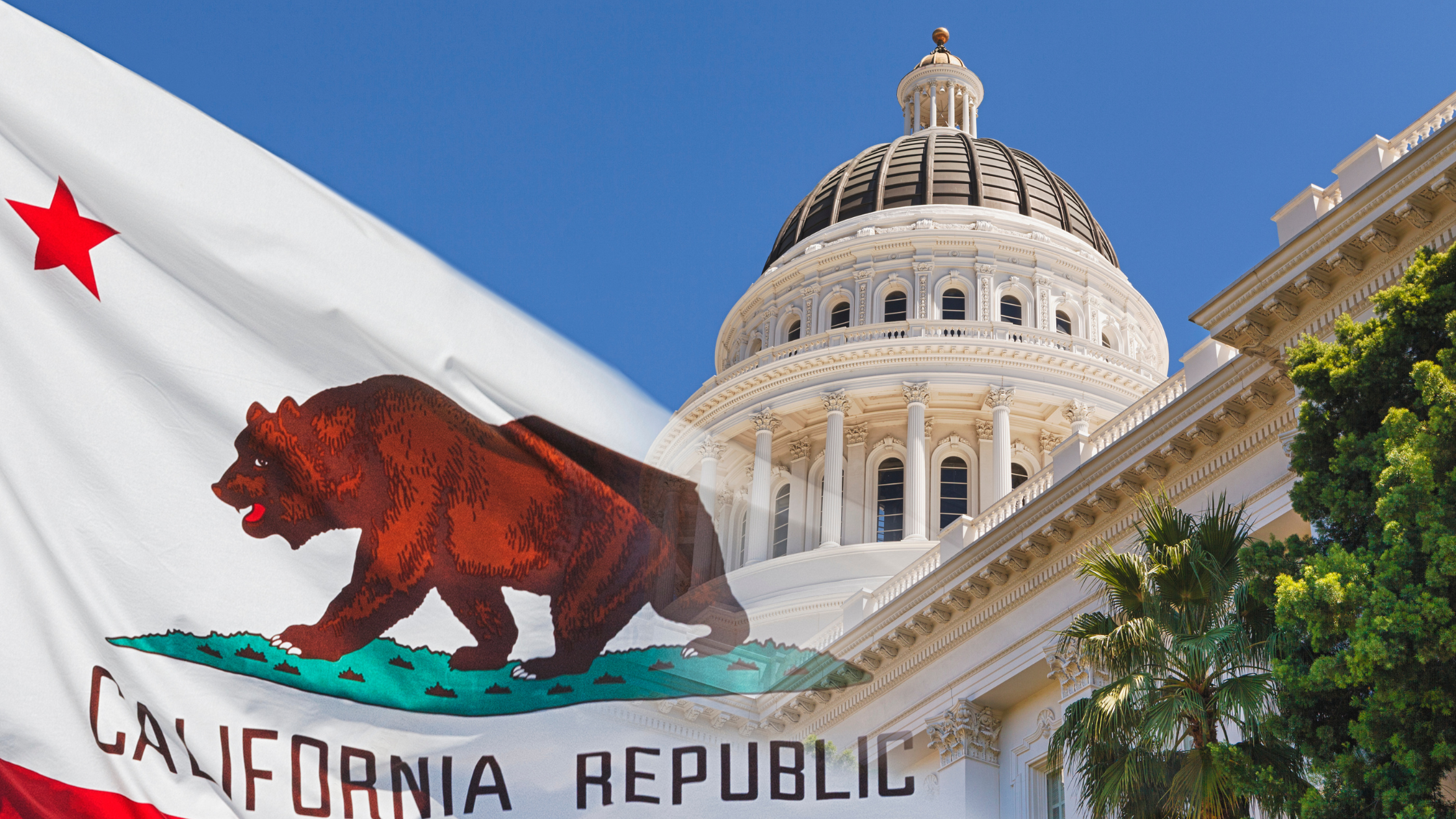 California Safe and Secure Innovation for Frontier AI Models Act Foreshadows Legislative Landscape