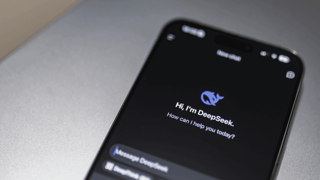Deepseek Privacy Problems
