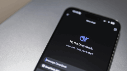 Deepseek Privacy Problems